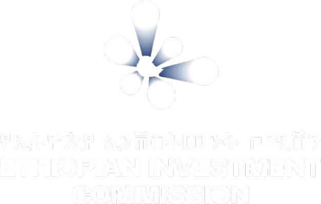 My Logo
